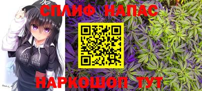 шишки Кинель