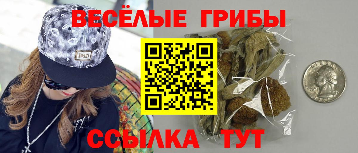 Псилоцибиновые грибы Psilocybe  Вход с VPN  Ярцево 